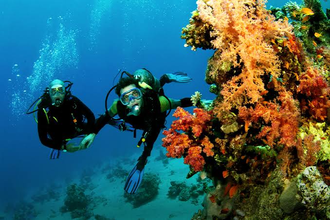 Paket wisata open trip scuba diving karimunjawa murah terpopuler paling laris sangat recomended free consultasi 24 jam 💯👌Buktikan sendiri