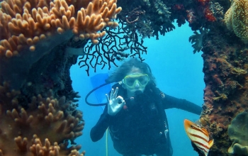 paketdivingkarimunjawa