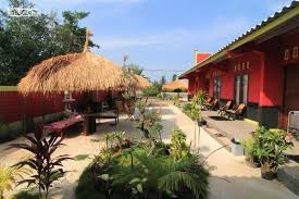 Rekomendasi paket wisata open trip hotel bukit dengan pemandangan laut sea hiil view karimunjawa murah terlaris di karimunjawa selalu update terpopuler