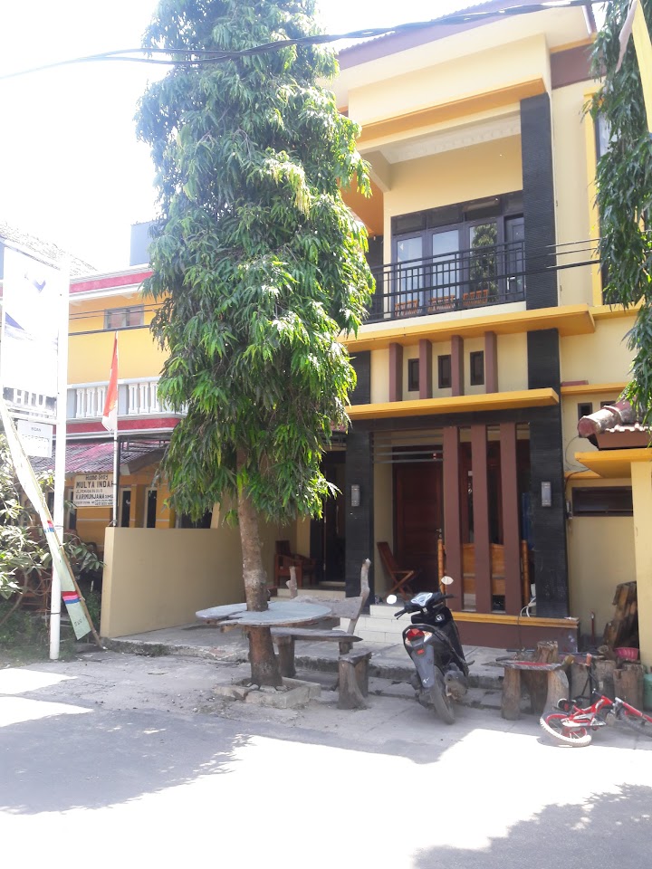 hiu homestay karimunjawa