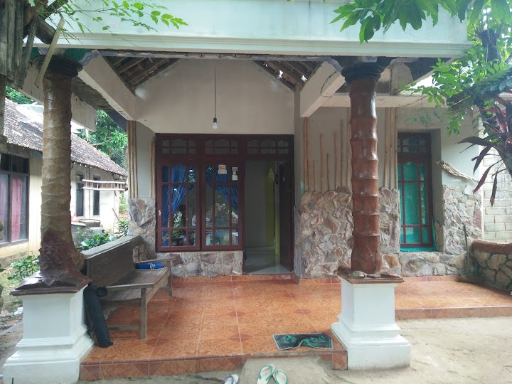 bintang laut